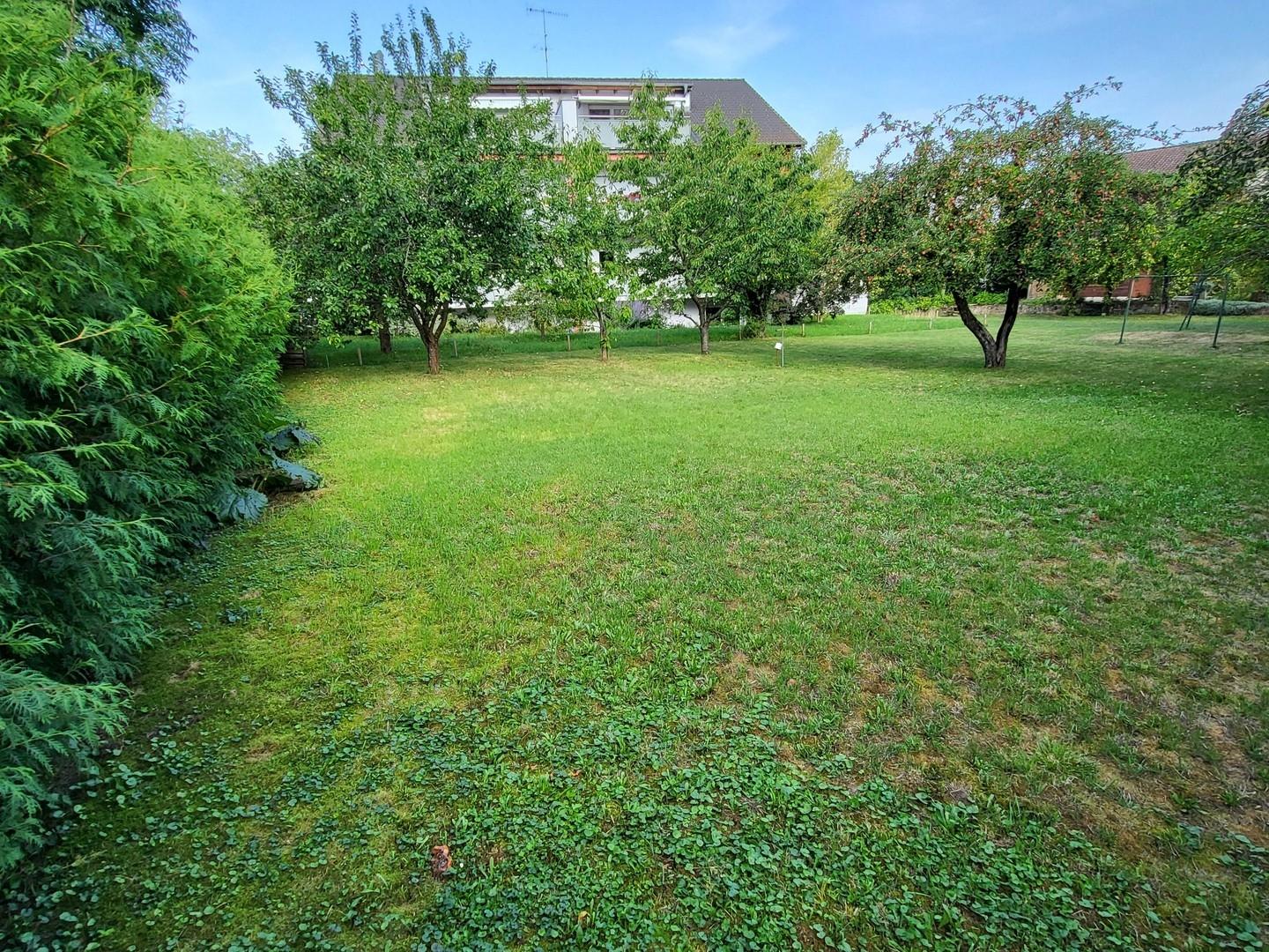 Baugrundstück