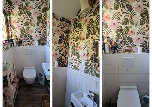 WC/Gäste-WC unten