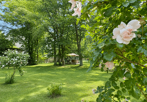 Friedlicher Garten mit Rosen und Pavillon