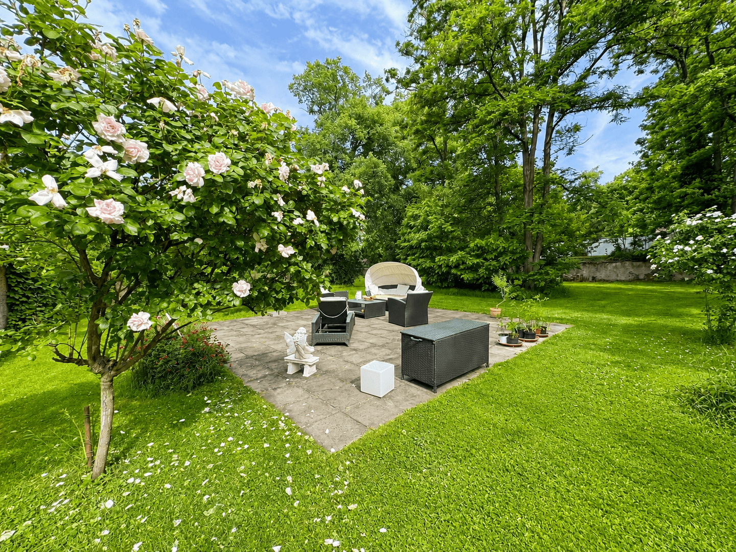 Sonniger Gartenpatio mit blühenden Rosen
