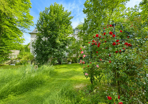 Wildromantischer Garten für absolute Ruhe