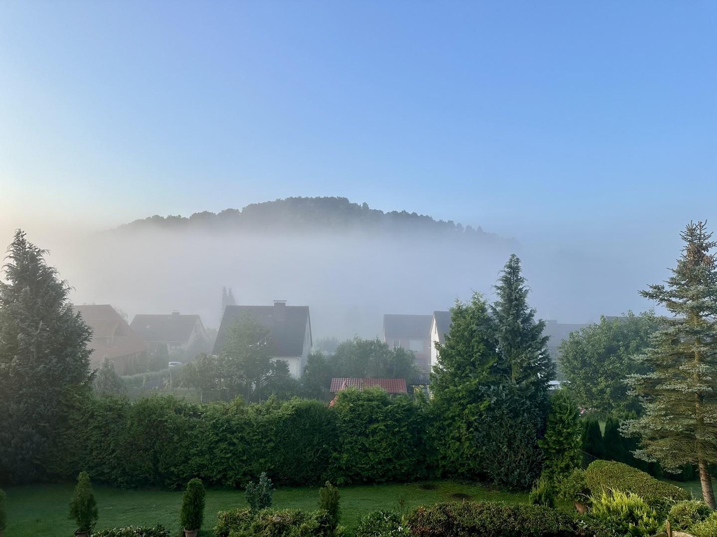Panorama Nebel