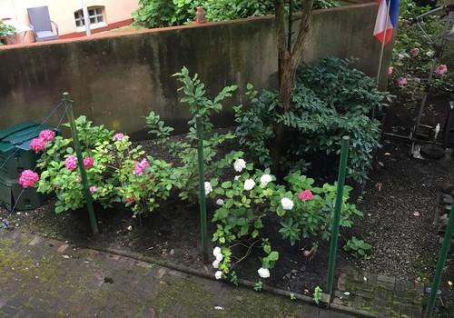 Garten und Hof zur Nutzung 
