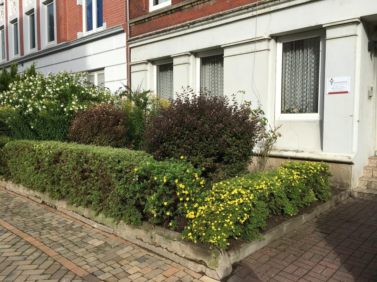 Vorgarten 