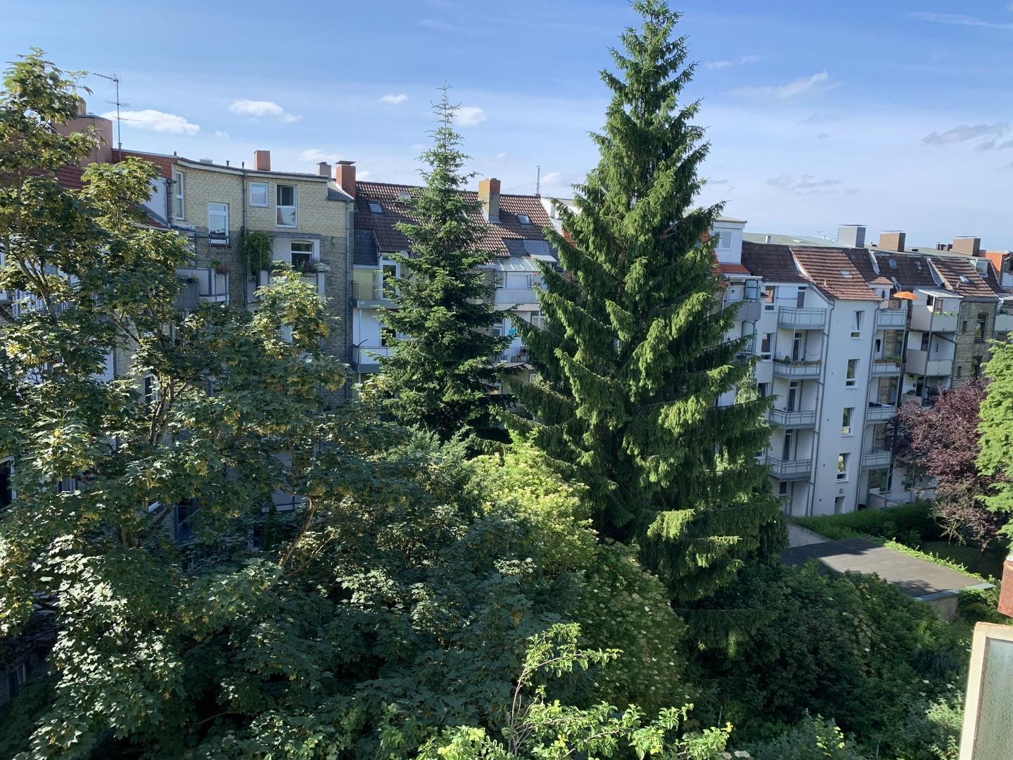 Blick aus der Loggia 