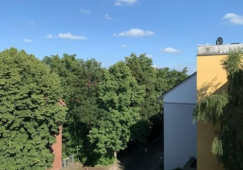 Ausblick Wohnzimmer 