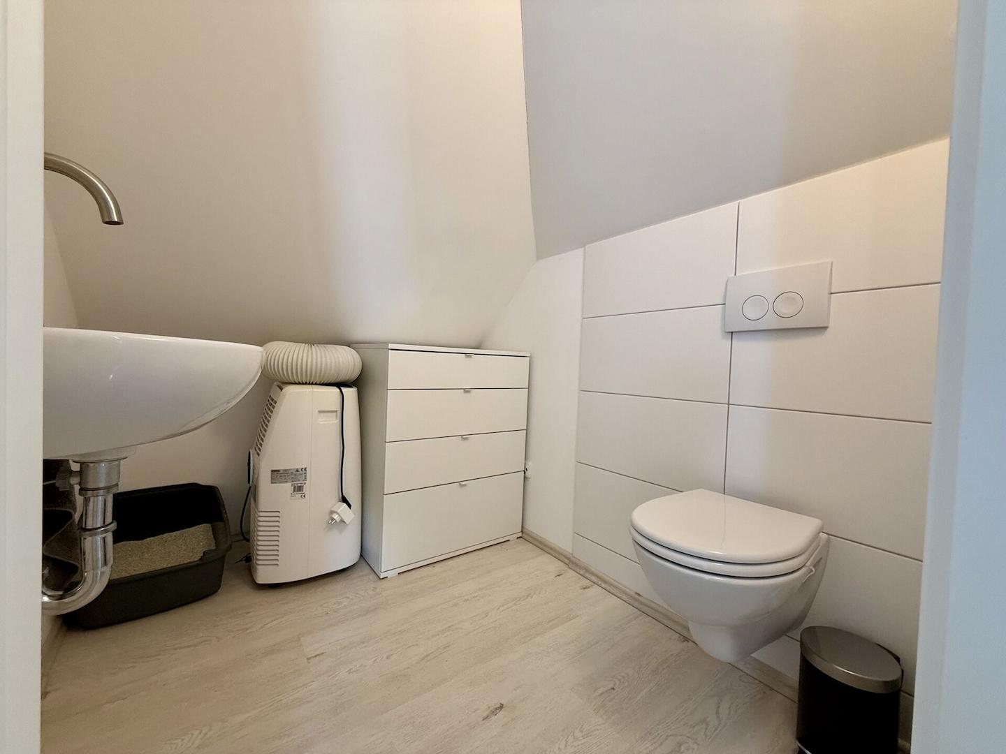 Ausgebautes Dachgeschoss (WC)
