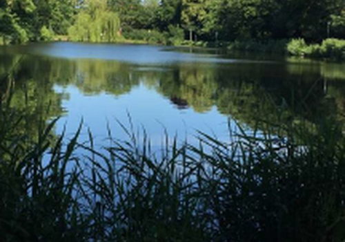 Seeblick