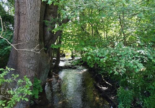 Bachlauf durch das Grundstück