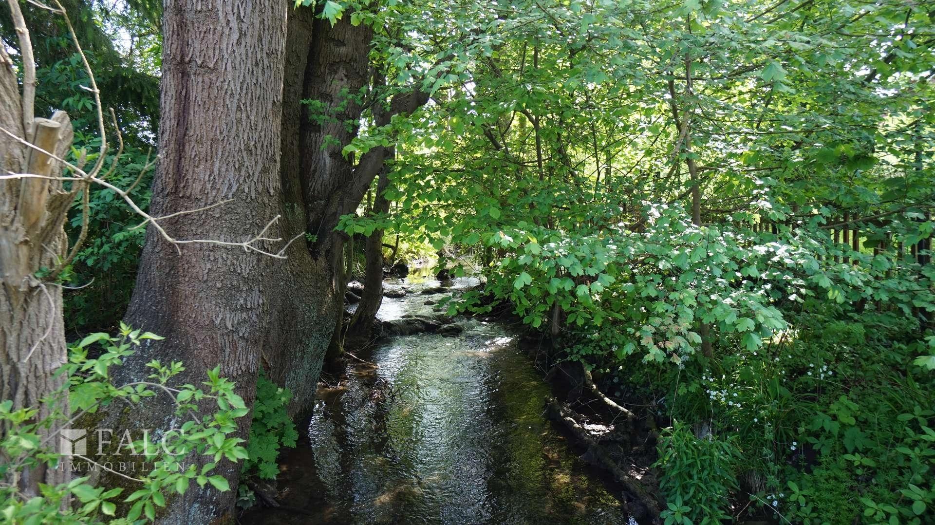 Bachlauf durch das Grundstück