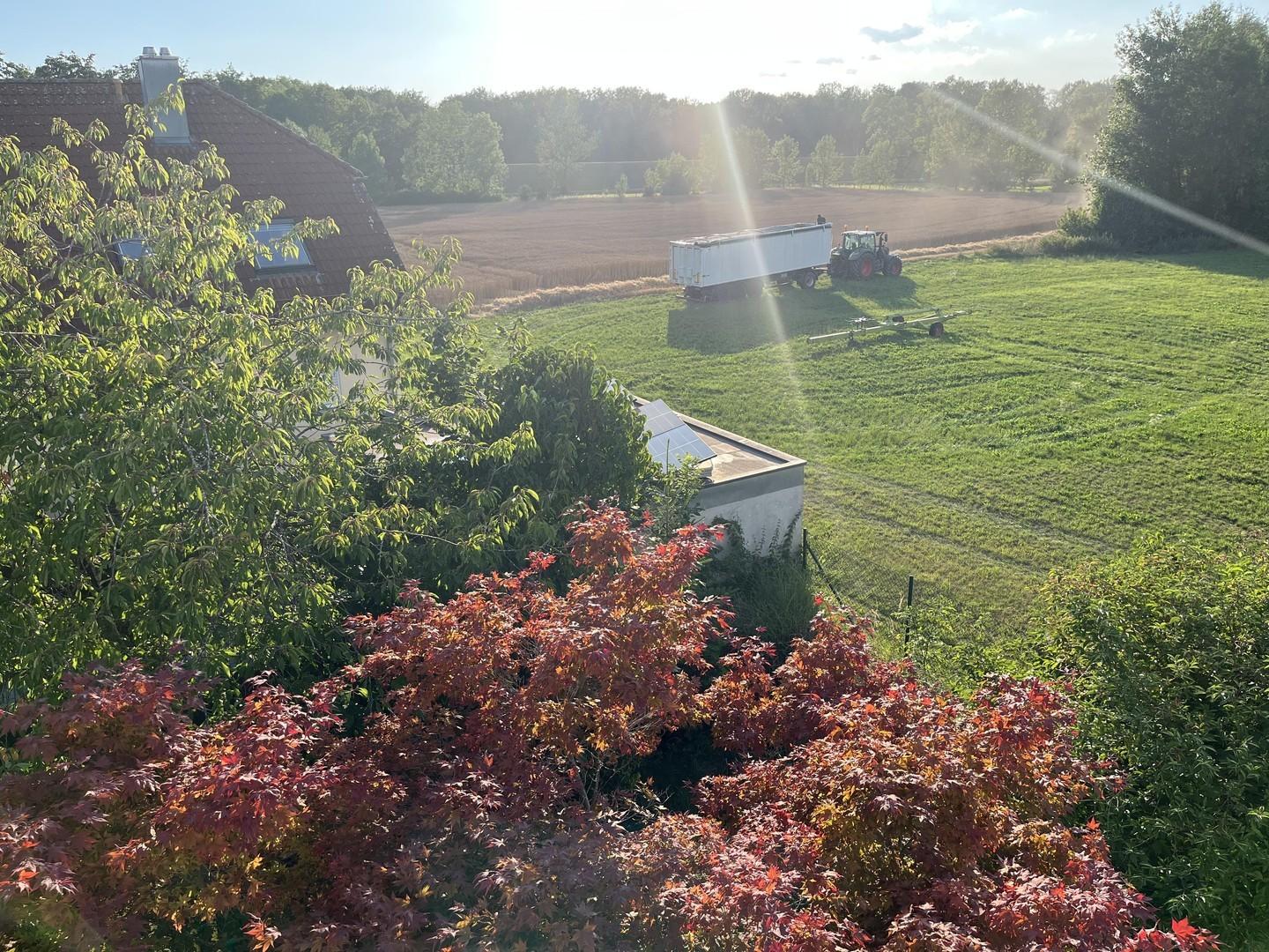 Blick von der Dachterrasse