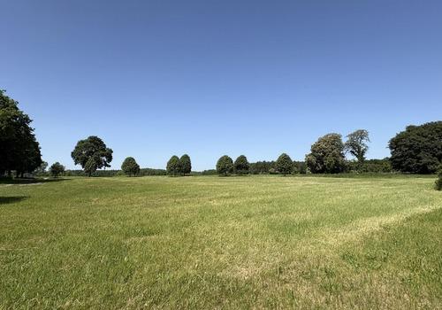 Blick auf das benachbarte Feld