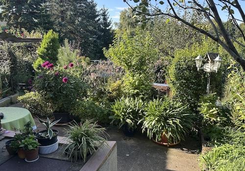Garten, Weg am Haus