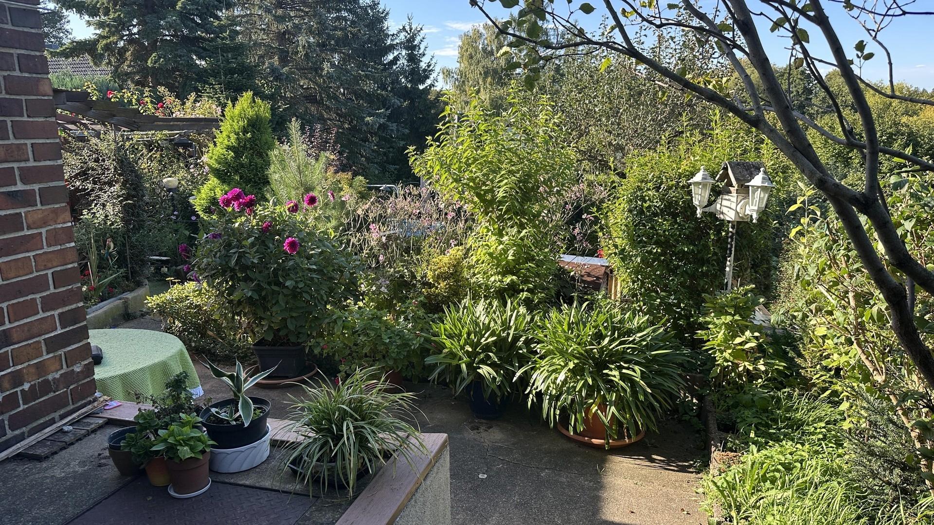 Garten, Weg am Haus
