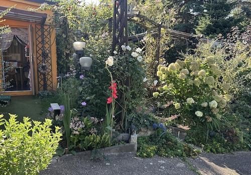 Garten, Blick zur Sommerküche
