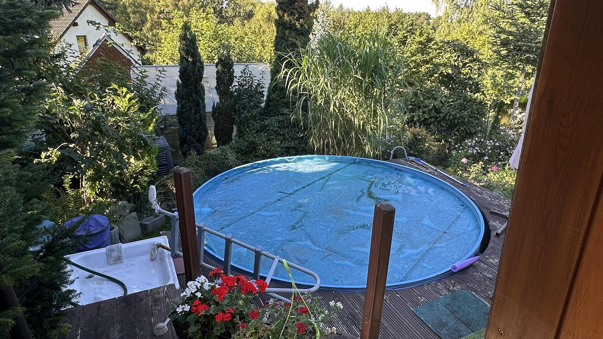 Pool, Blick zum Garten