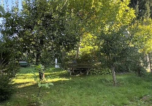 Obstgarten