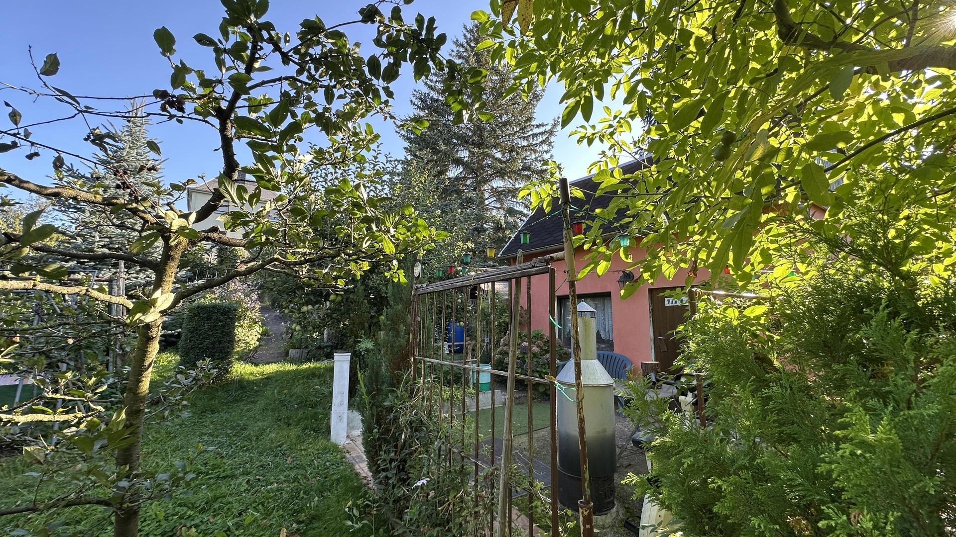 am Gartenhäuschen