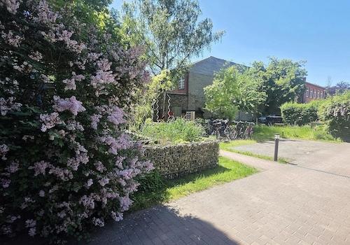 Garten/Hinterhof