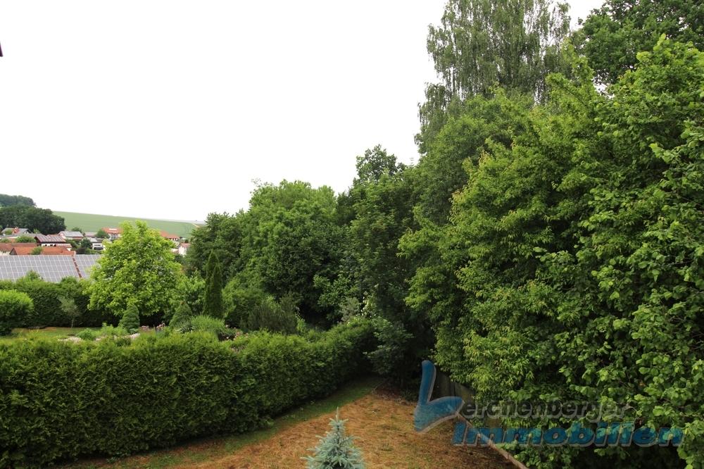 Blick in den Garten.jpg
