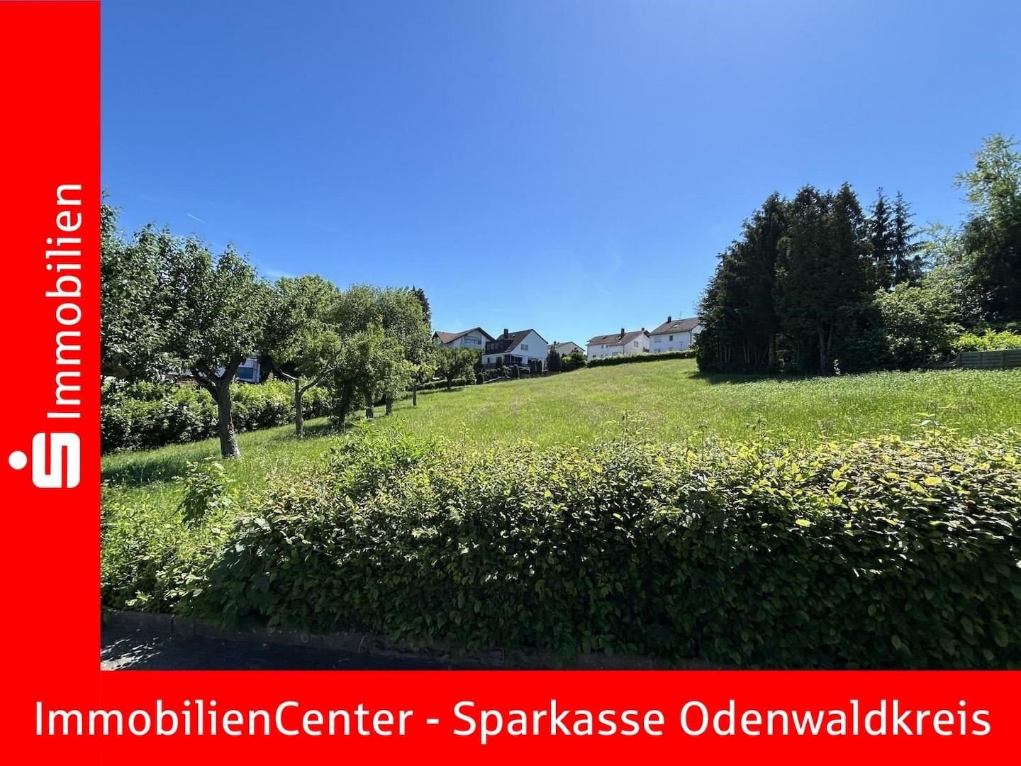 Ansicht Straßenseite