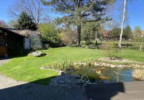 Gartenansicht aus der Küche