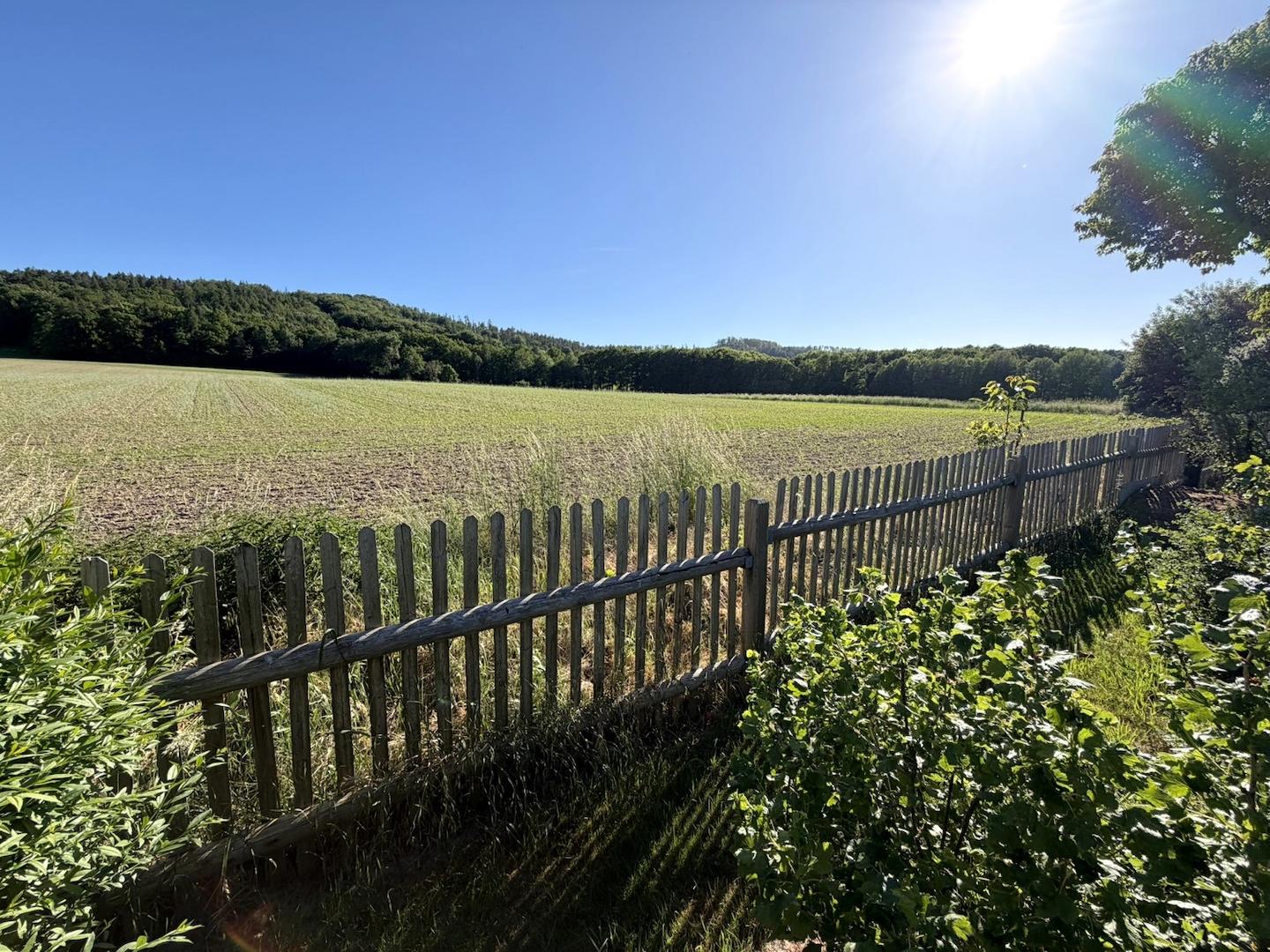 Panoramablick