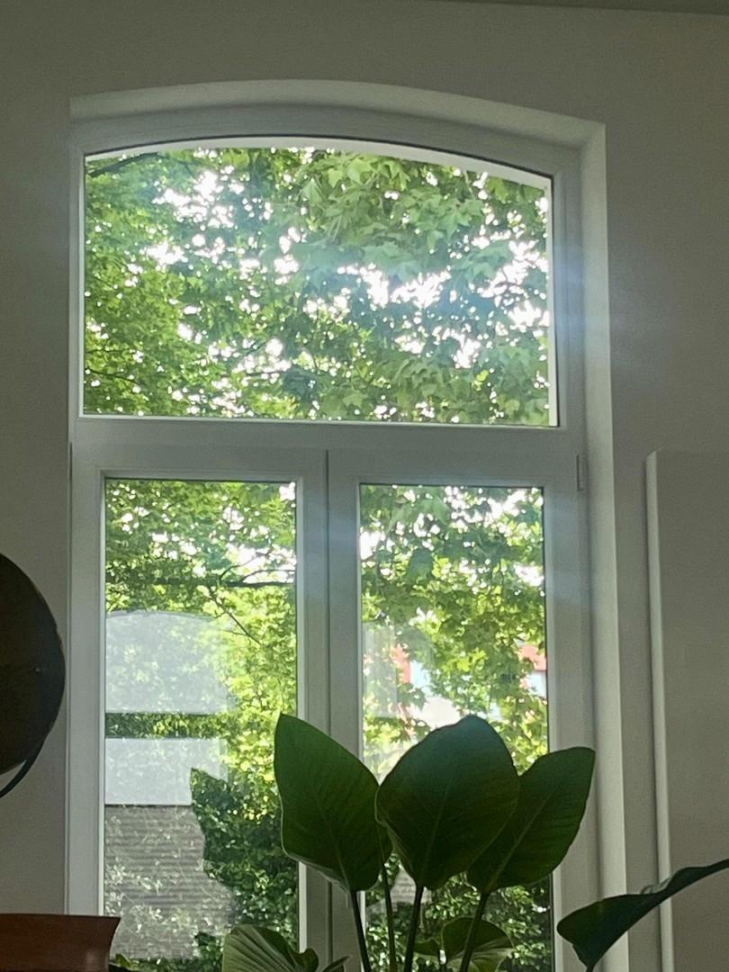 Ausblick
