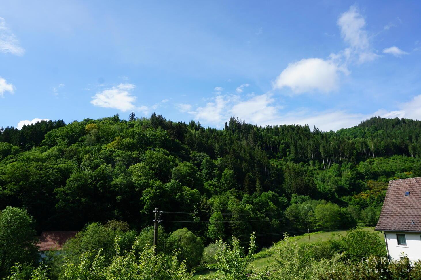 Aussicht