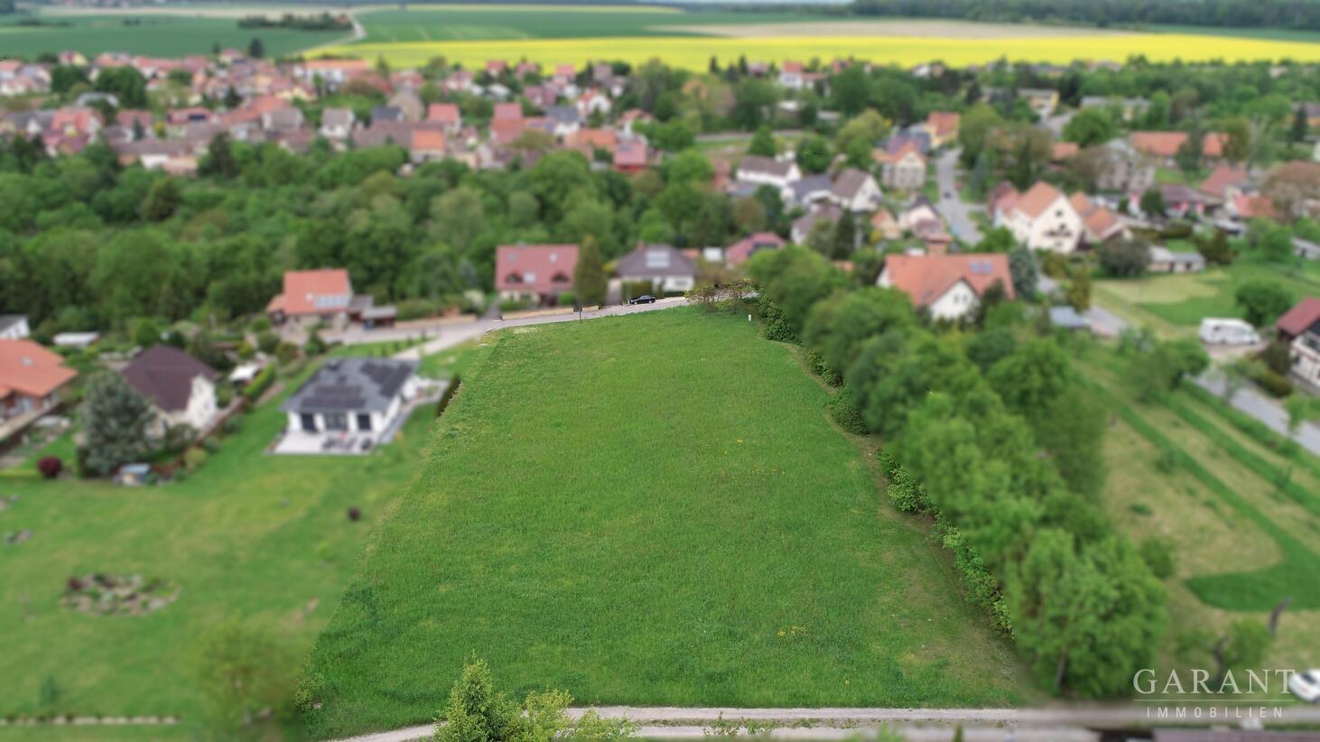 Weitblick