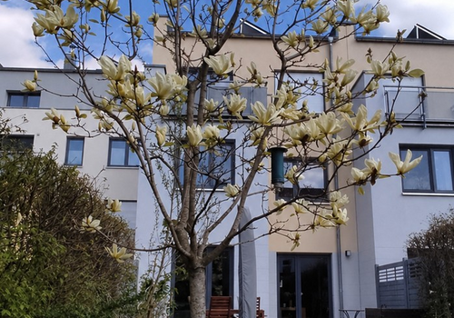 Gartenansicht