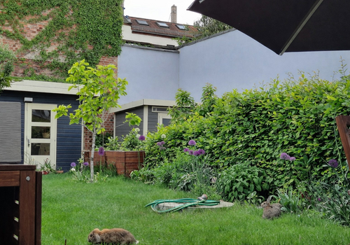 Garten