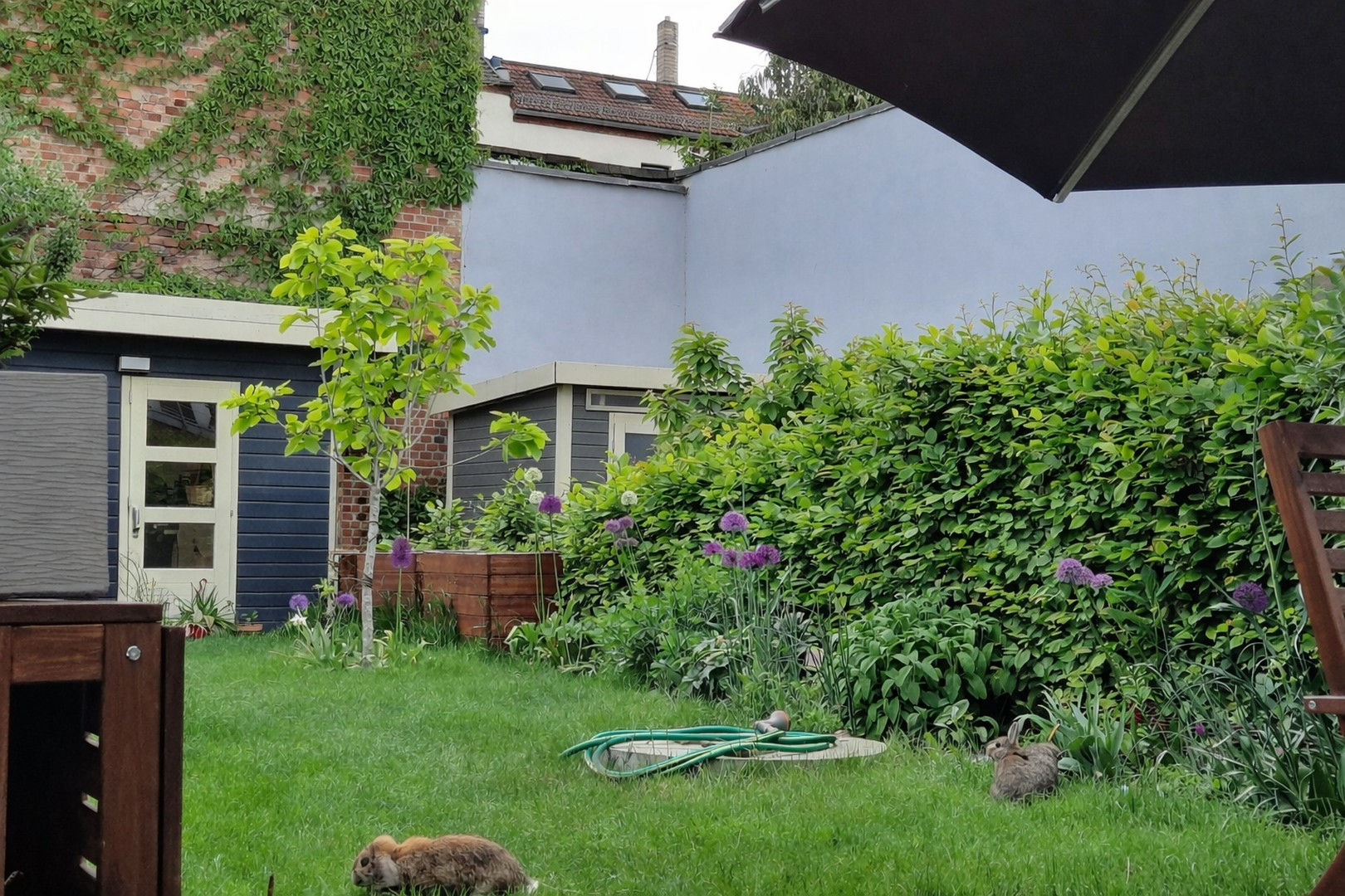 Garten