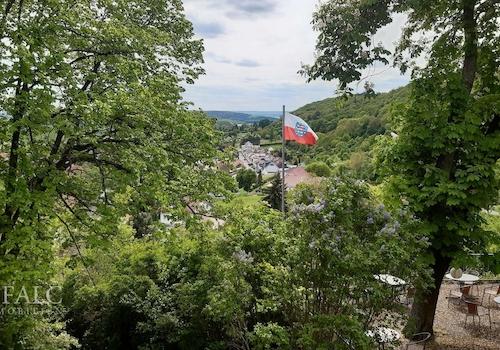 Ausblick