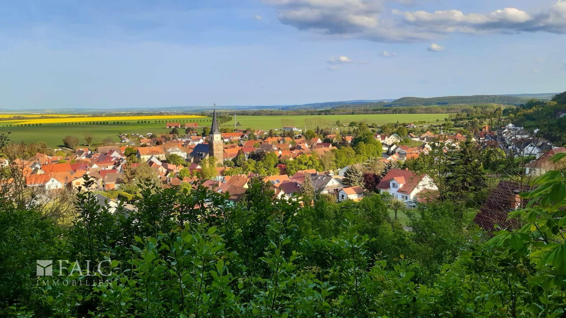 Ausblick