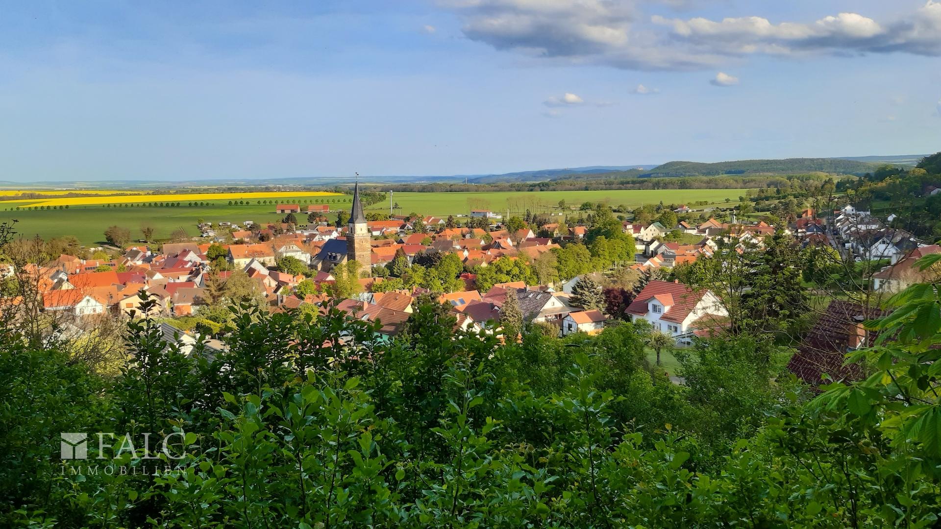 Ausblick
