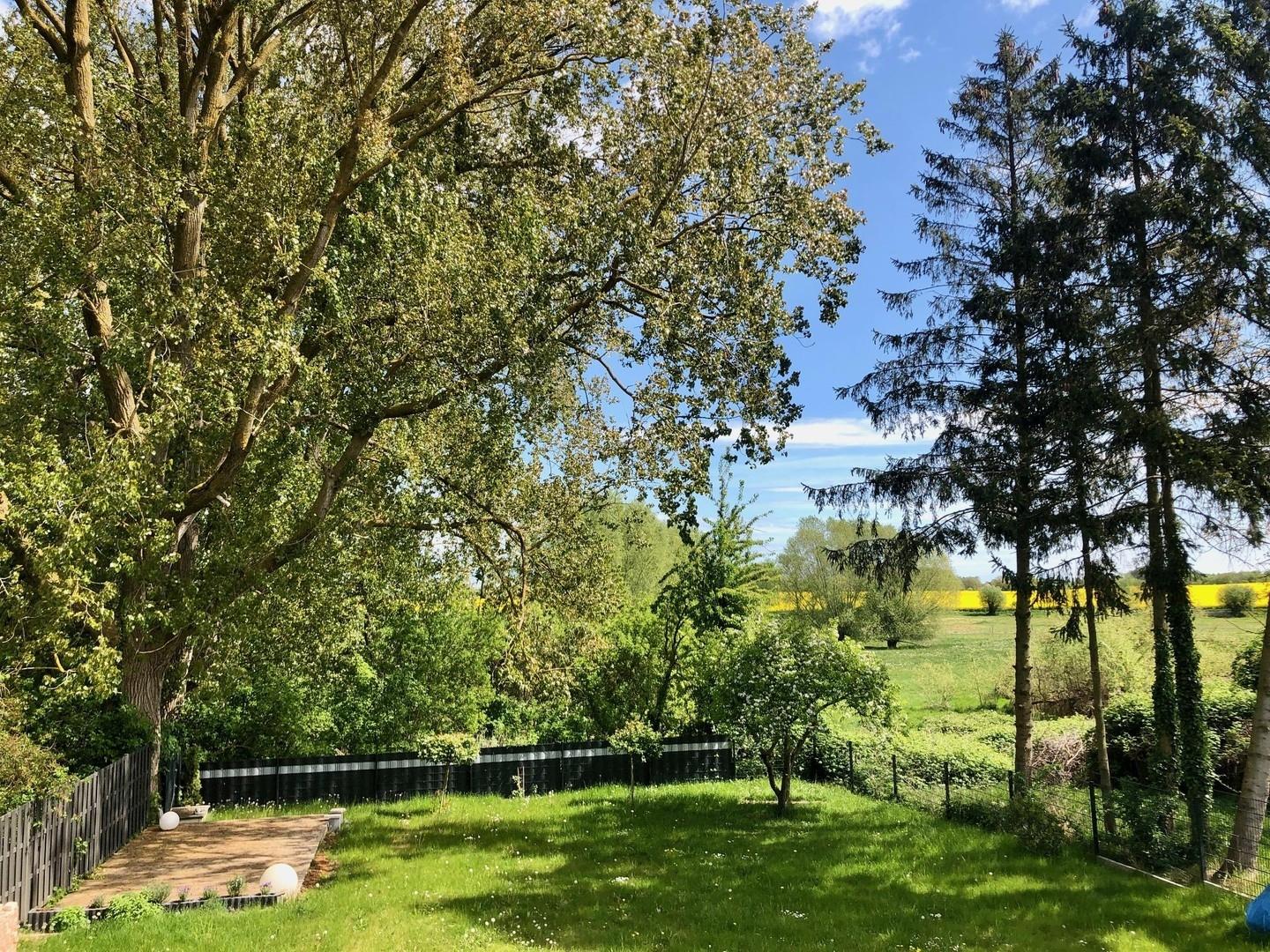 Garten mit Wiesen