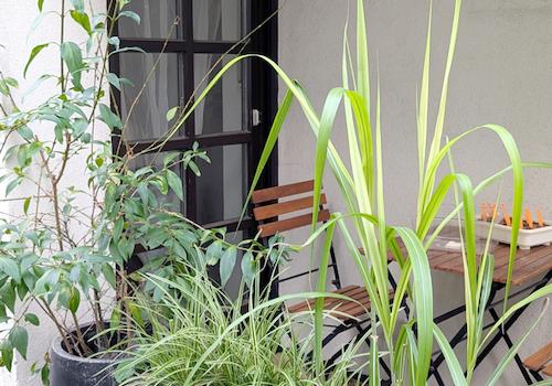 Terrasse