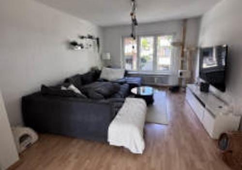 Bild15