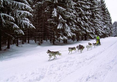 Umgebung_Winter