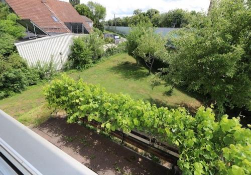 Garten von Oben