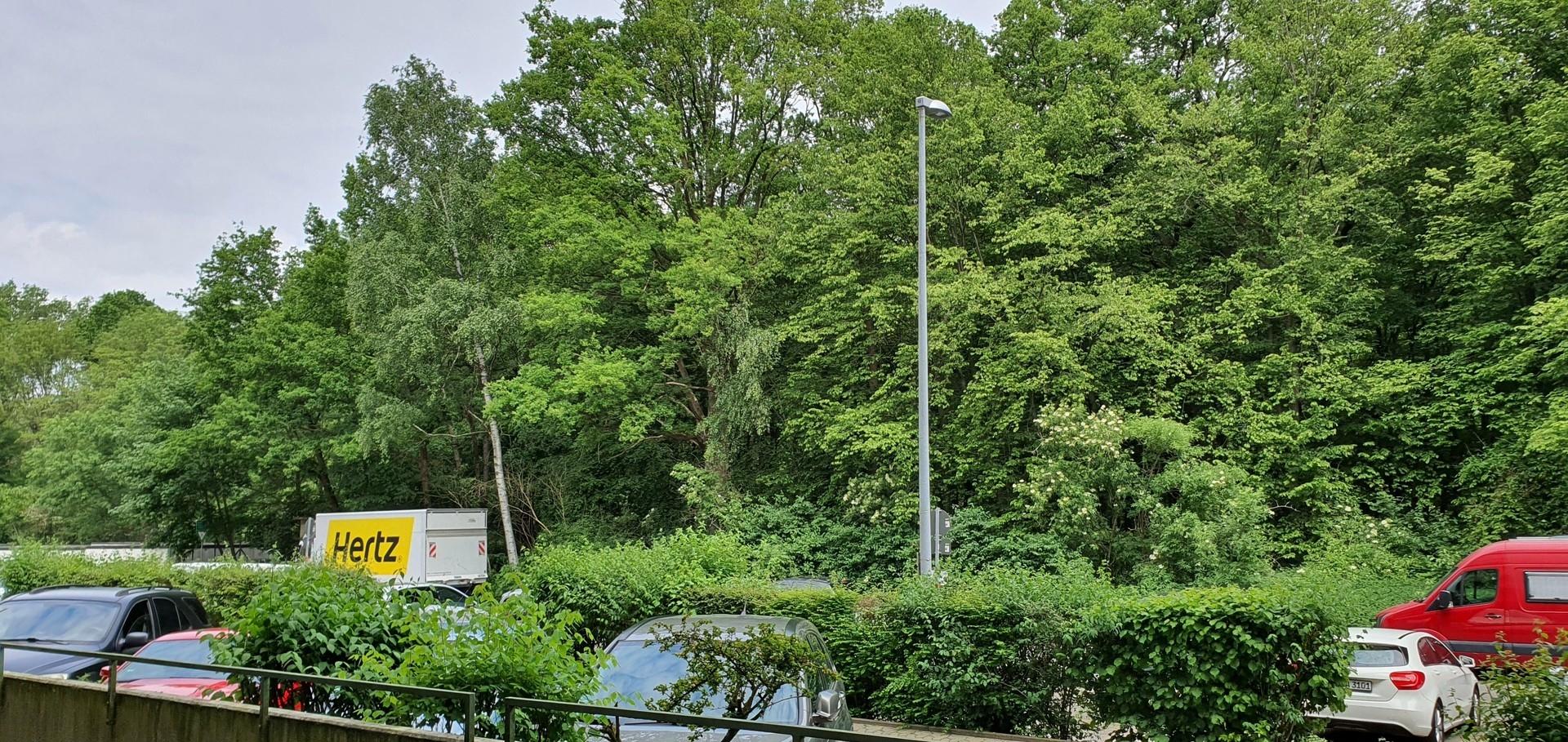Umgebung