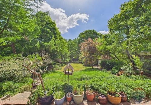 Ausblick von der Terrasse auf den Garten