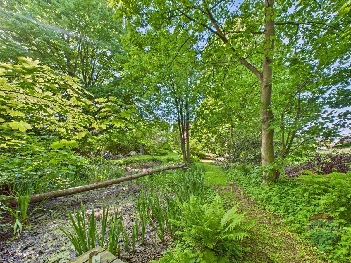 Teich im Garten