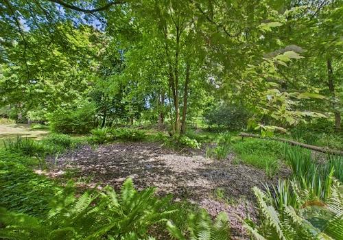 Teich im Garten