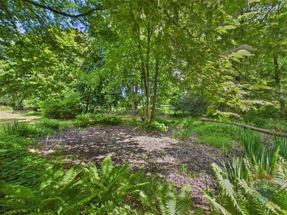Teich im Garten