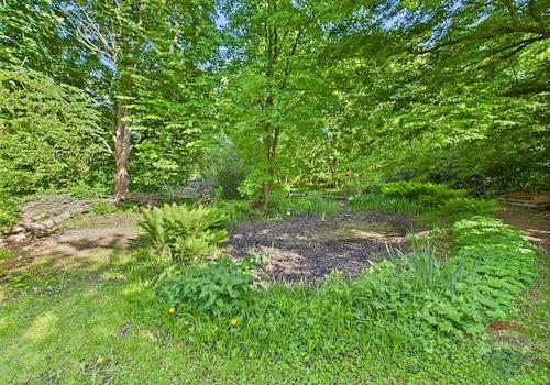 Teich im Garten