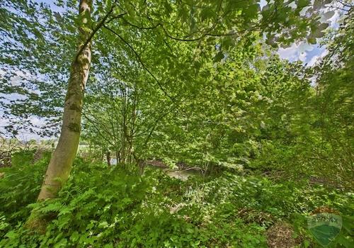 Fluss fließt am Grundstück vorbei