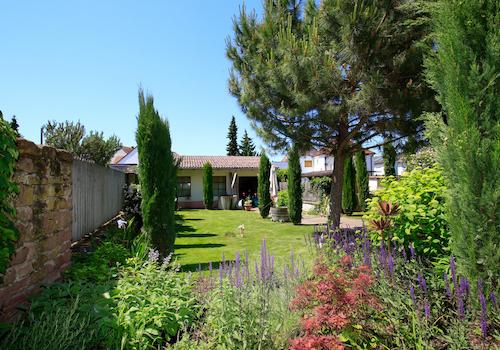 Garten Blick 2
