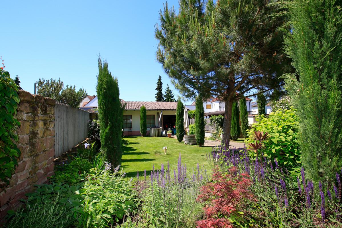 Garten Blick 2
